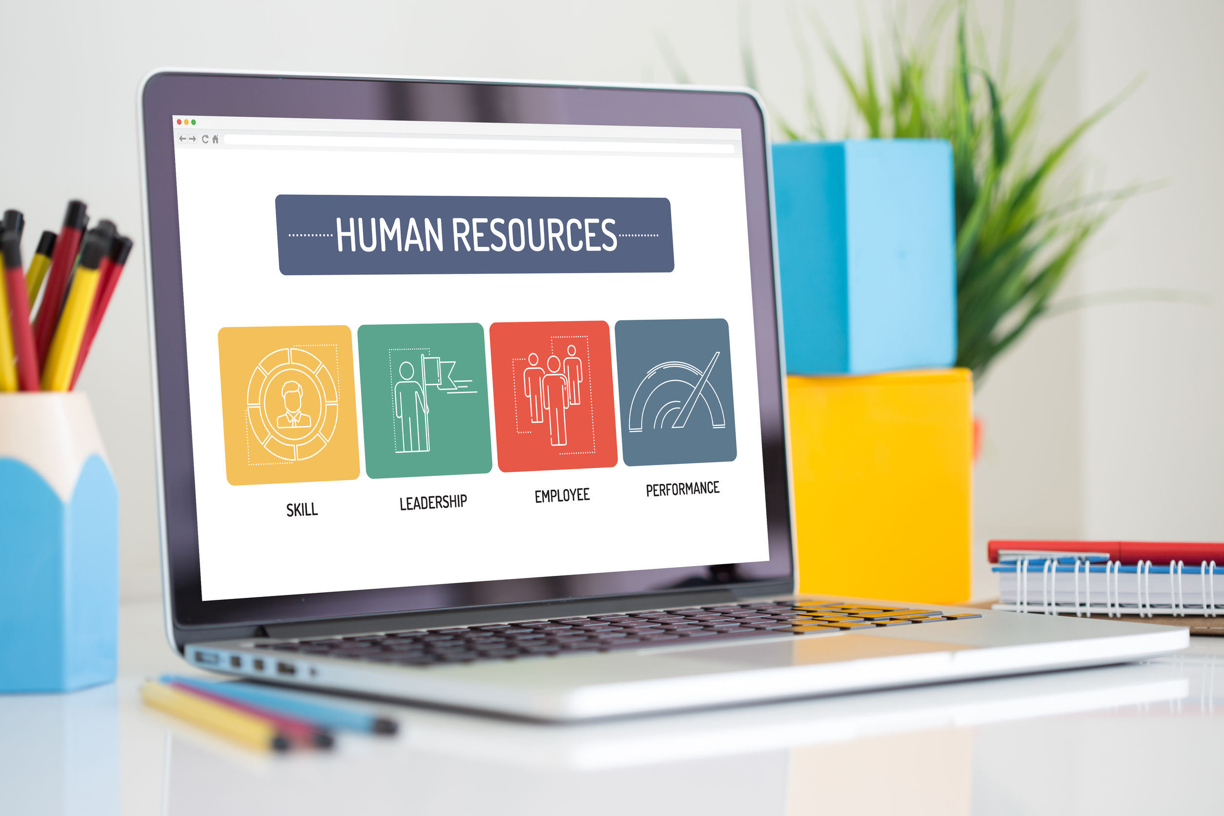 human resources management software 